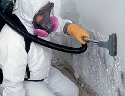  , USA Mold Inspection Pros